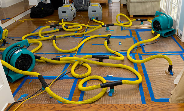 Professional Basement Flood Cleanup technician working in Corpus Christi, TX
